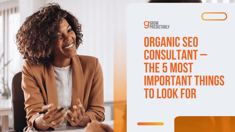 organic SEO consultant