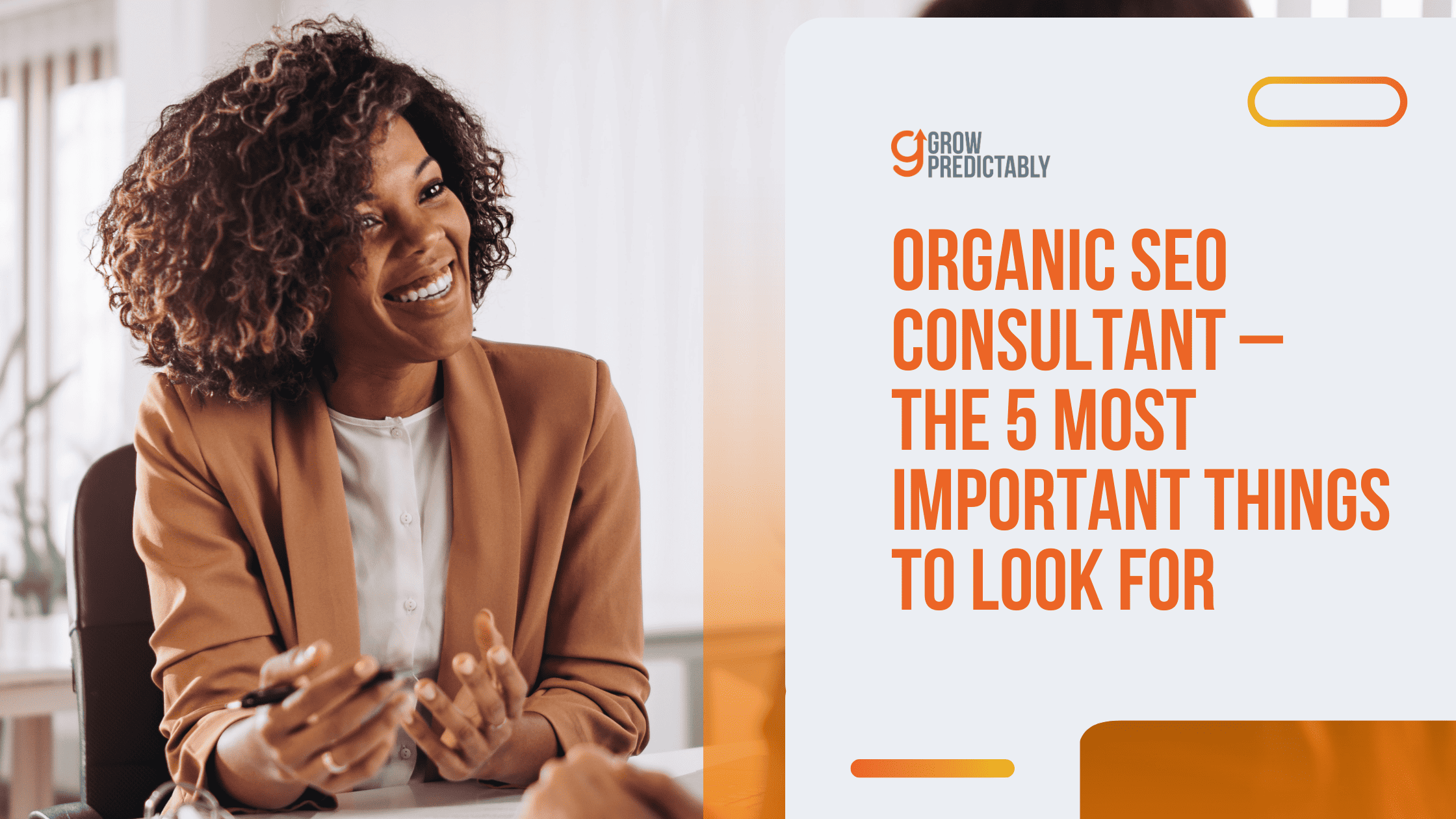 organic SEO consultant