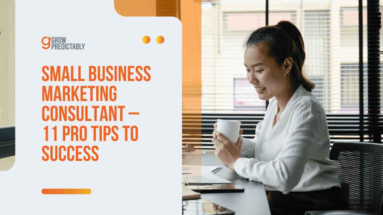 Small Business Marketing Consultant