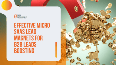 Micro SaaS Lead Magnets for B2B Leads