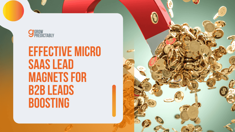 Micro SaaS Lead Magnets for B2B Leads