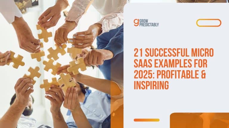 Micro SaaS Examples
